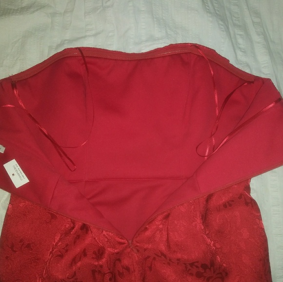 🆕Max and Cleo | Jaquard Lace Red Cocktail - Picture 7 of 8